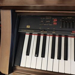 WhatsApp Image 2024-09-02 at 15.27.02 (4).jpeg