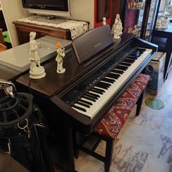 WhatsApp Image 2024-09-02 at 15.27.02 (3).jpeg